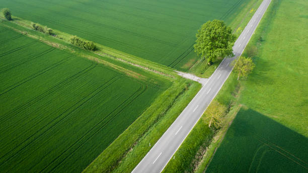 istock Road through agricultural area - aerial view 1146701629