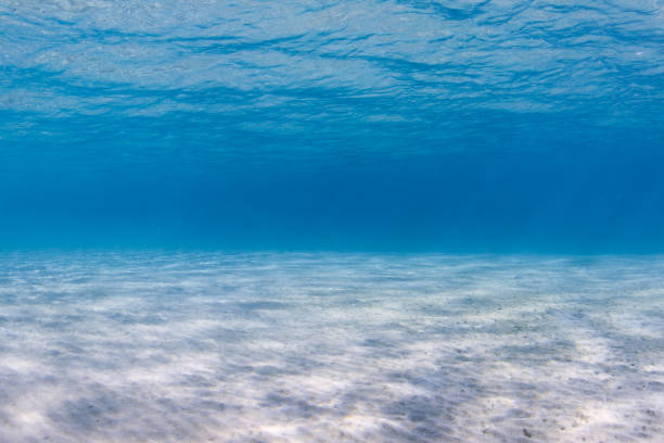 istock Clear blue water and a sandy seabed 1146701931