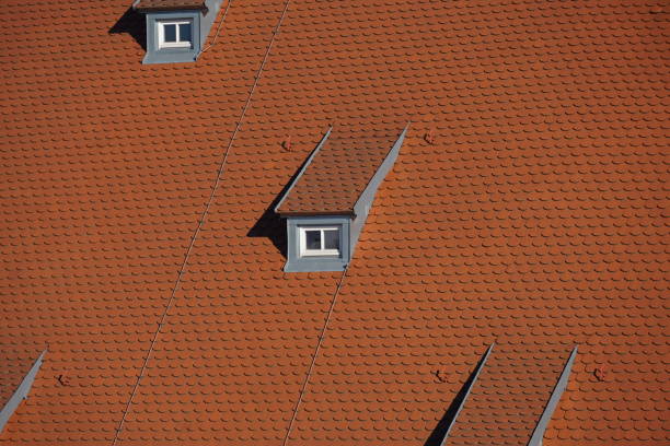 Beaver tails as roofing are very popular in bavaria especially on steep roofs, photographed on a spring afternoon