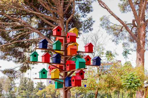 Tree of color birdhouses for birds in the park