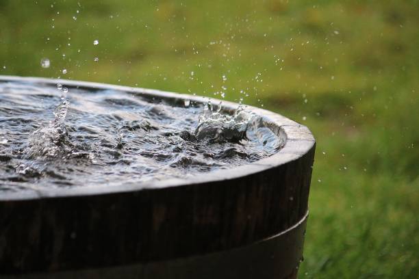 rain is falling in a wooden barrel full of water in the garden stock photo