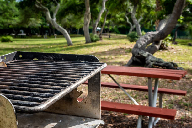 istock Vacant campground during low season. 1146707445