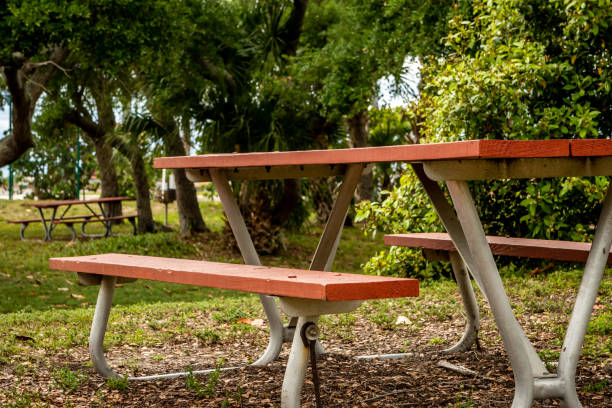 istock Vacant campground during low season. 1146707730