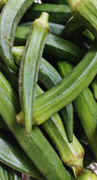 istock Summer seasons vegetable lady finger 1146710673