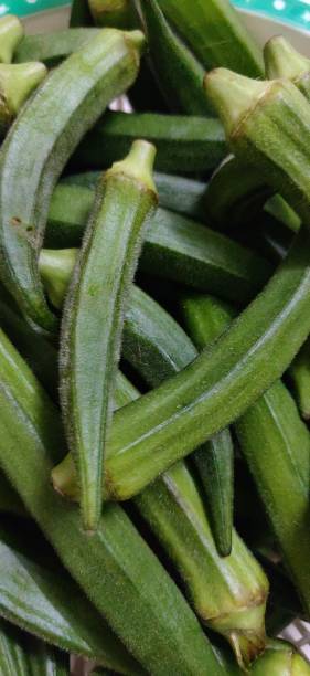 istock Summer seasons vegetable lady finger 1146710815