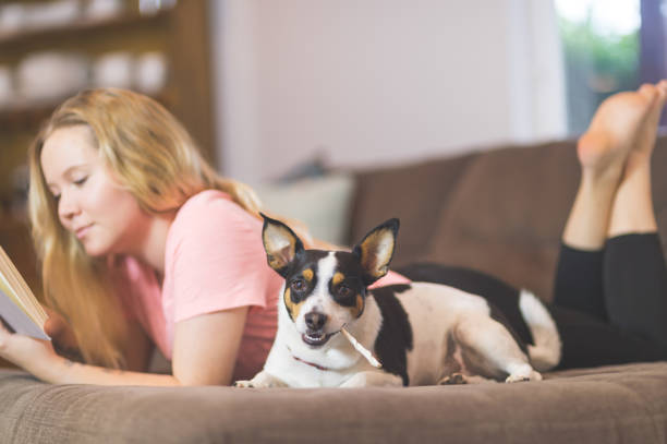 istock Young woman reading on the couch with her dog 1146712369