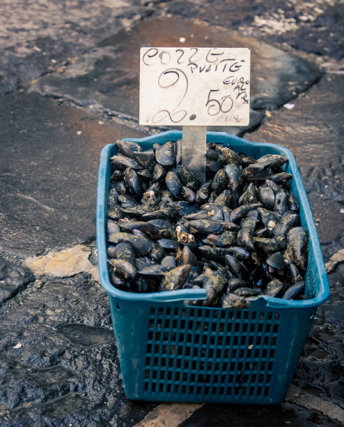 istock Clams for sale at a market 1146715741