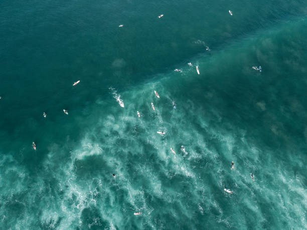 Surfers on a wave in the ocean from above