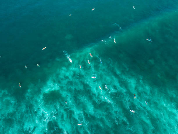 istock Surfers on a wave in the ocean from above 1146717025