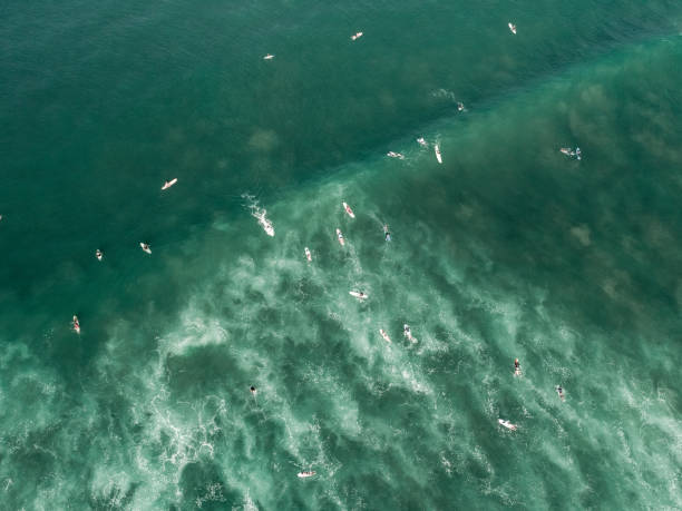 istock Surfers on a wave in the ocean from above 1146717037