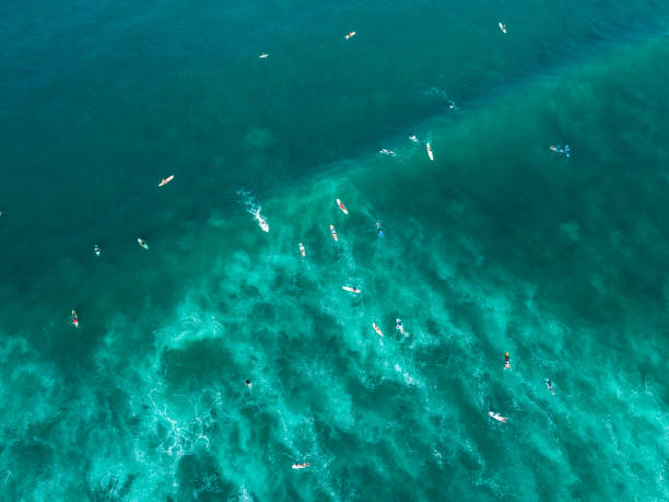 istock Surfers on a wave in the ocean from above 1146717720