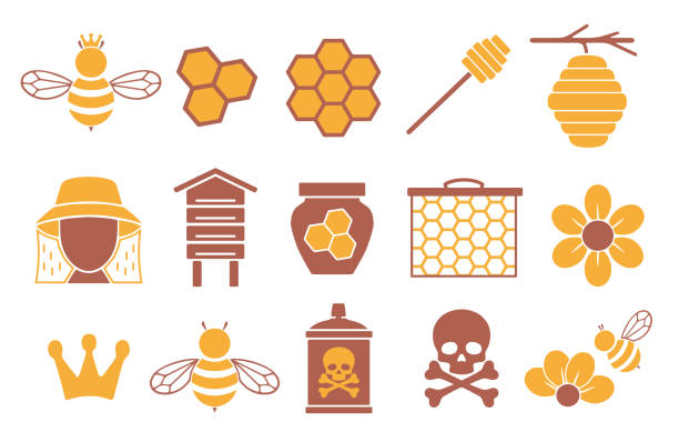 vector-icon-set für die erstellung von infografiken im zusammenhang mit bienen, bestäubung und bienenzucht wie honiggefäß, blume und wabe - worker bees stock-grafiken, -clipart, -cartoons und -symbole