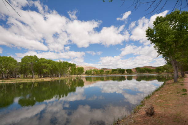 istock Reflections at the lake in spring time 1146721070