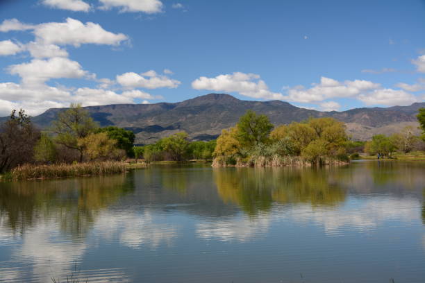 istock Reflections at the lake in spring time 1146721110