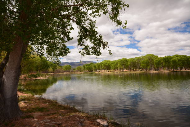 istock Reflections at the lake in spring time 1146721234