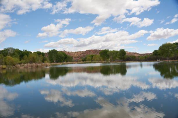 istock Reflections at the lake in spring time 1146721236