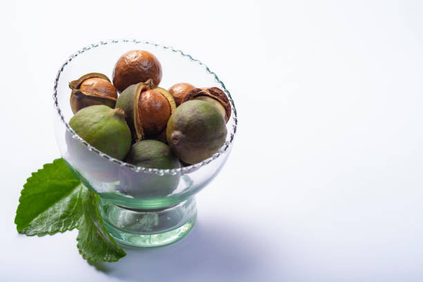 istock Fresh harvest of macadamia nuts, green macadamia nuts in shell and cracked nuts close up isolated 1146722068