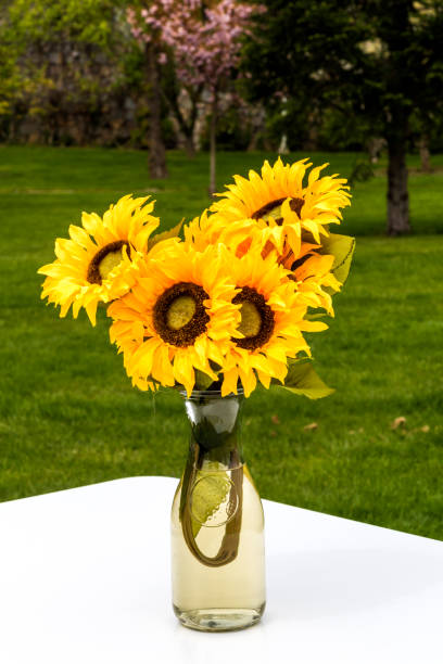 istock Sunflowers bouquet on table in the garden 1146723721
