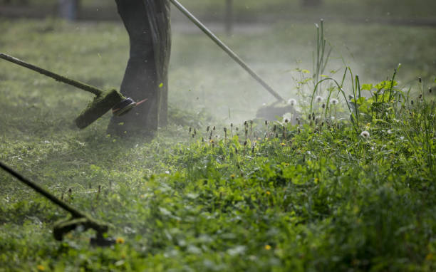 istock mowing trimmer - worker cutting grass in green yard 1146727091