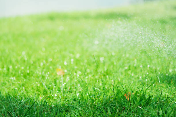 istock Abstract blur of dew from automatic sprinkler 1146727230