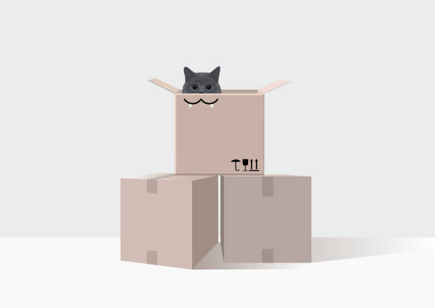 Cute And Funny British Cat In A Box While Moving Stock Illustration - Download Image Now - Domestic Cat, Box - Container, Pets - iStock Cute And Funny British Cat In A Box While Moving Stock Illustration - Download Image Now - Domestic Cat, Box - Container, Pets - Istock