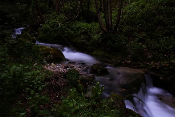 istock Beauty in nature 1146728195