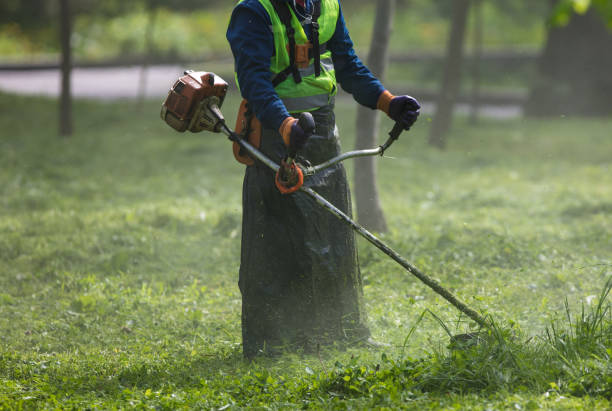 istock mowing trimmer - worker cutting grass in green yard 1146728599