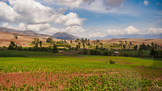 Farming fields near Cuzco in Peru, the andes Range corn farm