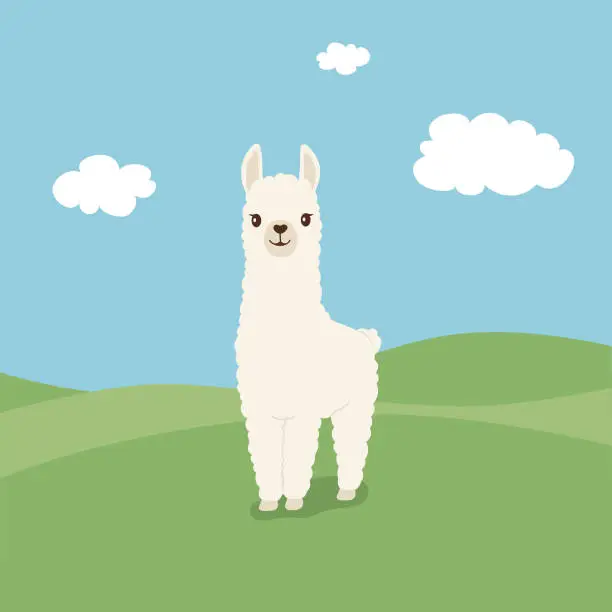 Vector illustration of Cute illustration of Llama on green field