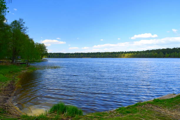 istock Vast yet shallow river or lake  with many waves on its surface and sandy beach partially covered with grass and shrubs situated next to a dense forest or moor seen during a cloudy spring day in Poland 1146729546