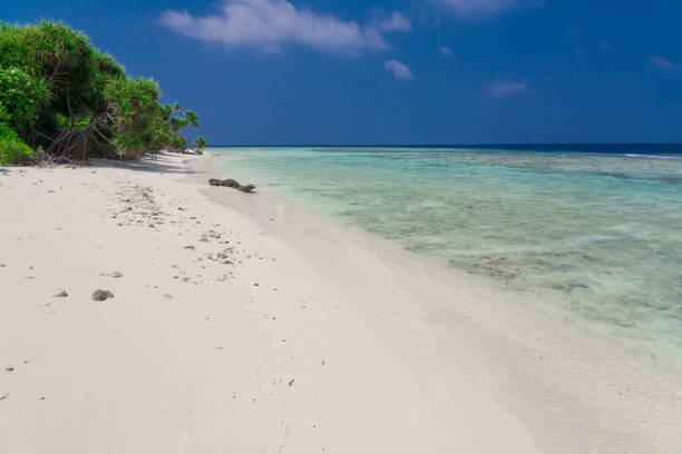 istock Maldives,  tropical sea background 1146729857