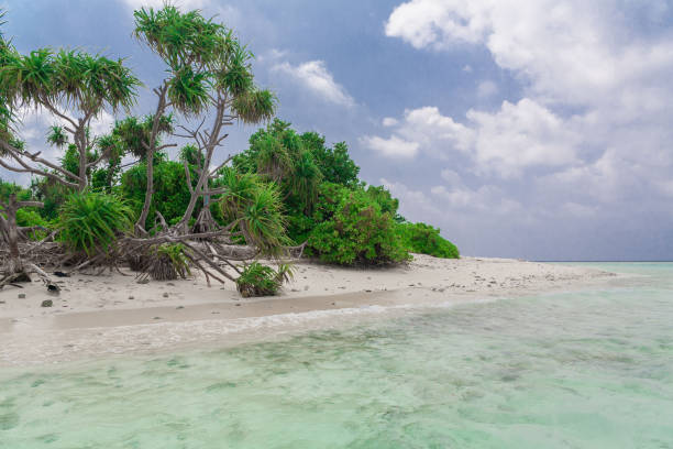 istock Maldives,  tropical sea background 1146730031