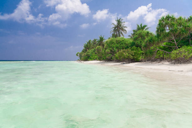 istock Maldives,  tropical sea background 1146730582