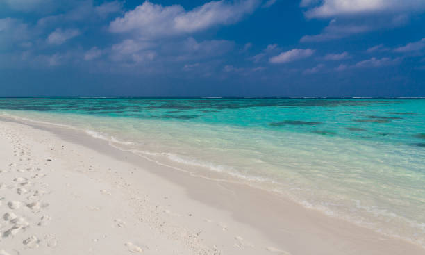 istock Maldives,  tropical sea background 1146730650