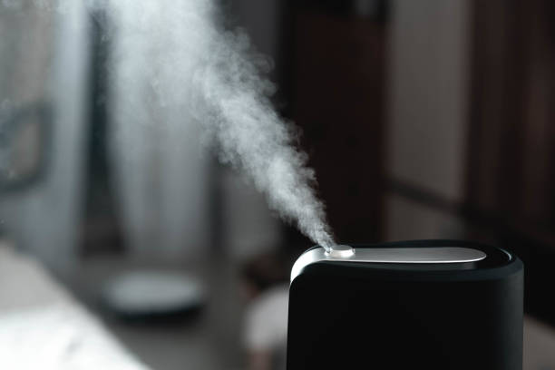 Humidifier for Skin