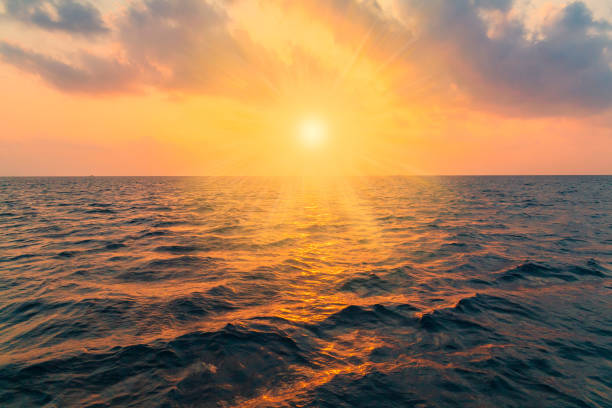 istock Maldives,  tropical sea background sunset 1146731038