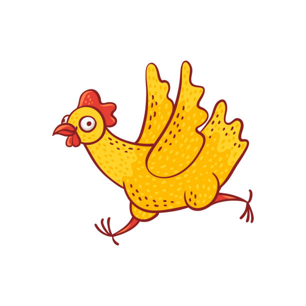 ilustraciones, imágenes clip art, dibujos animados e iconos de stock de vector ilustración de la gallina divertida de la caricatura prisa y corriendo rápido. - chicken poultry cartoon cockerel