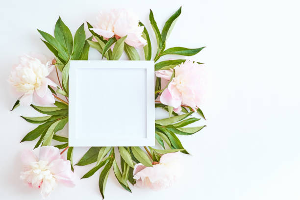 istock Mockup square white frame with light pink peonies on a white background 1146732213