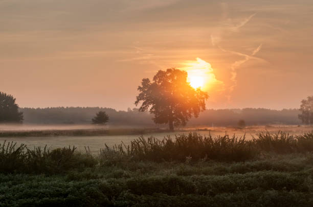 istock sunrise and morning mist 1146734300
