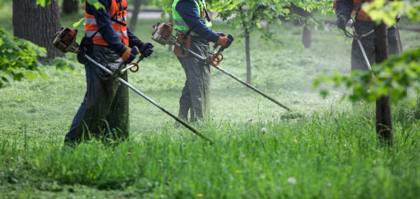 istock lawnmower with mowing trimmer mows the lawn 1146738190