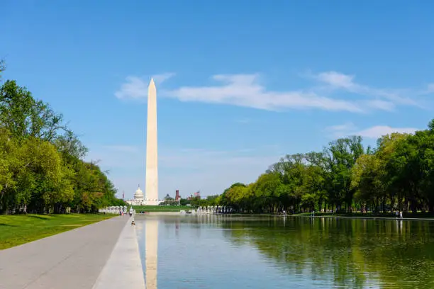 Photo of View of Washington Monument and Capitol Building and thire reflection in reflecting pool in the afternoon, Washington DC Skyline