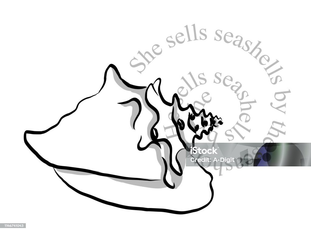 She Sells Seashells Seashell with spiralling tongue twister sentence Tongue Twister stock vector