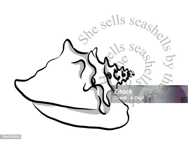 She Sells Seashells Stock Illustration - Download Image Now - Tongue Twister, Conch Shell, Art