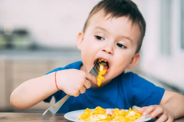 Photo of a child in a t-shirt in the kitchen eating an omelet, a fork