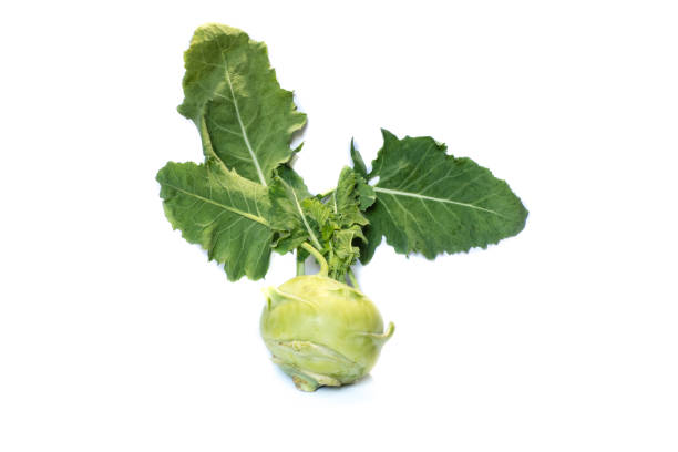kohlrabi isolato su sfondo bianco - kohlrabi turnip kohlrabies cabbage foto e immagini stock