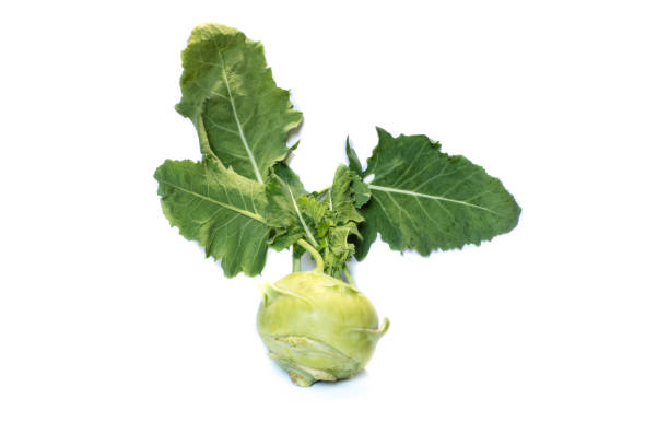 kohlrabi isolated on white background - kohlrabi turnip kohlrabies cabbage imagens e fotografias de stock