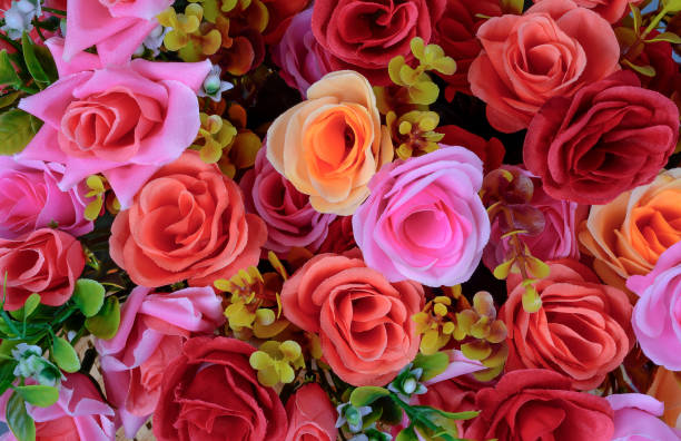 istock chemical roses close-up 1146744826