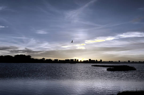 istock Ocean City Sunrise Skyline - IV 1146747653