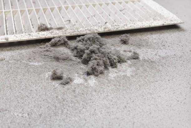 Dust collected from the air duct filter. Dust is collected from the duct filter. Harmful dust in the room air duct photos stock pictures, royalty-free photos & images