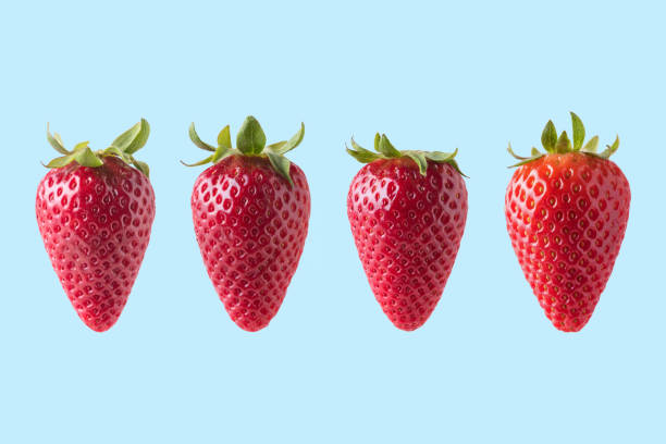 istock Strawberry isolated on blue background. Minimal food concept. 1146755322